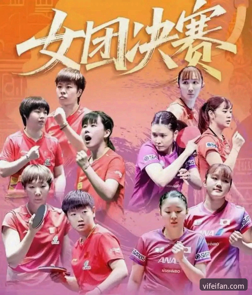 非凡体育官方下载怎么样 2026世乒赛中国女团首秀:用非凡体育App看陈幸同的实战指南